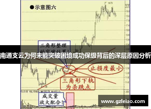 南通支云为何未能突破困境成功保级背后的深层原因分析