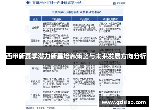 西甲新赛季潜力新星培养策略与未来发展方向分析