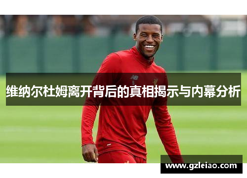 维纳尔杜姆离开背后的真相揭示与内幕分析