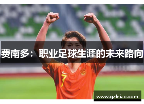 费南多：职业足球生涯的未来路向